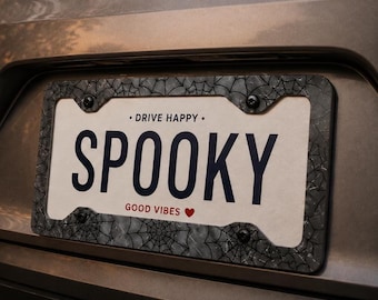 Spider Web Metal License Plate Frame, Gothic Car Decor, Halloween Tag Holder, Spooky Aesthetic Auto Decor