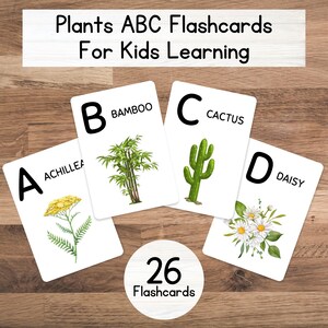 26 tarjetas imprimibles de plantas - Aprendizaje de la naturaleza Montessori / Tarjetas educativas de botánica / Ciencia para niños pequeños / Actividad STEM para preescolar