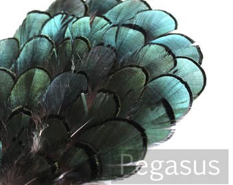 EMERALD GREEN Lady Amherst Iridescent Feather Pad Applique (3 packages) millinery cap, carnivale mask,costume feather hat,fascinator,cap