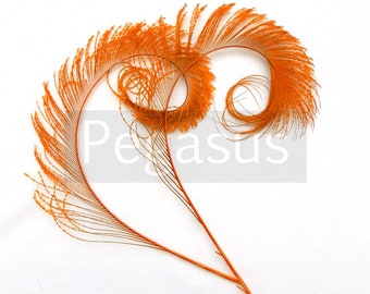 Orange Curled Peacock Sword Tail Feathers (3 package options) for wedding bouquets, floral centerpieces,hat,millinery