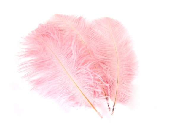 Light Pink Ostrich Feather 8-12 Inch Size per SIX 6 