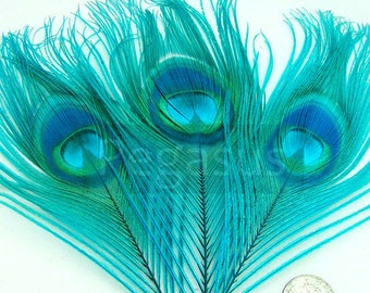 Teal Blue Peacock Feather Eyes (2 size option)(RF) feather for boutonnieres,earrings,wedding bouquets,millinery hat,corsage,fascinator