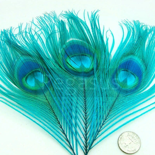 Teal Blue Peacock Feather Eyes (2 size option)(RF) feather for boutonnieres,earrings,wedding bouquets,millinery hat,corsage,fascinator