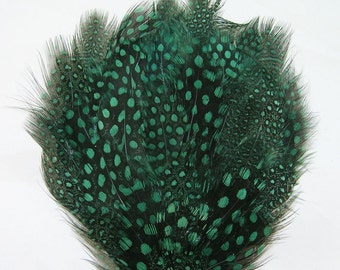 Green Spotted guinea hen Feather Pad (3 packages) DIY millinery,mask,fascinator,hat,cap,costume burlesque fan,feather headdress,applique