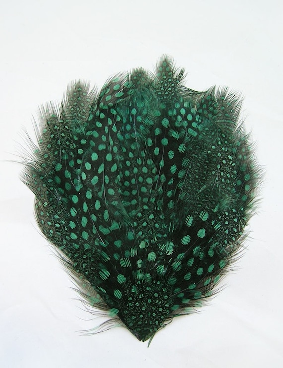 Dyed Brown Guinea Hen Pheasant Feather Pad US Seller