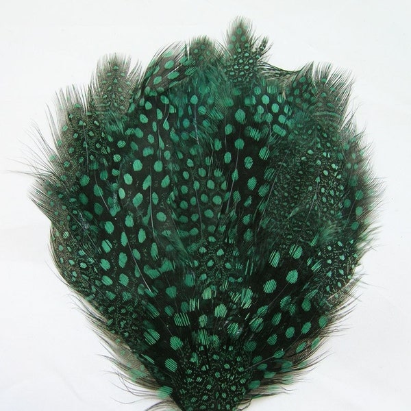 Green Spotted guinea hen Feather Pad (3 packages) DIY millinery,mask,fascinator,hat,cap,costume burlesque fan,feather headdress,applique
