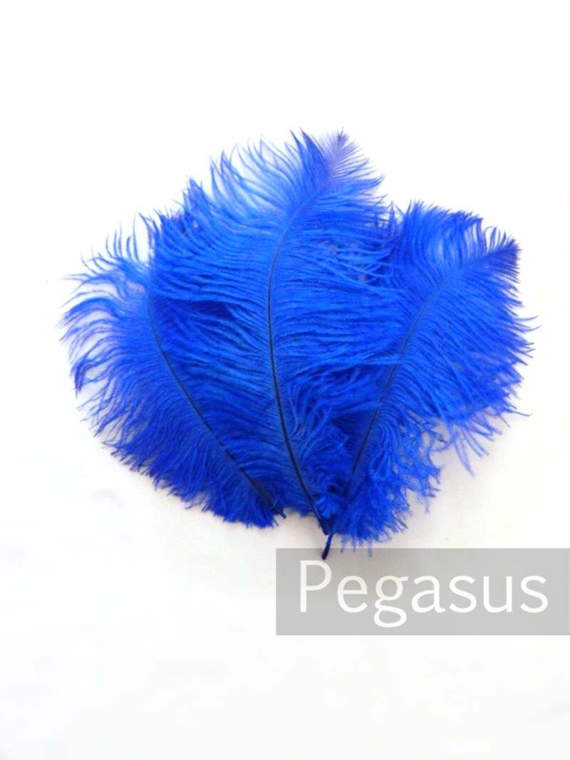 Royal Blue Ostrich Feather Drab (6-8 inches, 3 package option) feather for hat,fascinator,hat,corset,dresses,bouquets, costume,fans