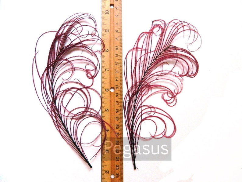 DUSTY ROSE Pink Peacock curled feather sprigs 3 packages 6-8 Inches plumes for hats,fascinators,costume headdress,brooch bouquet