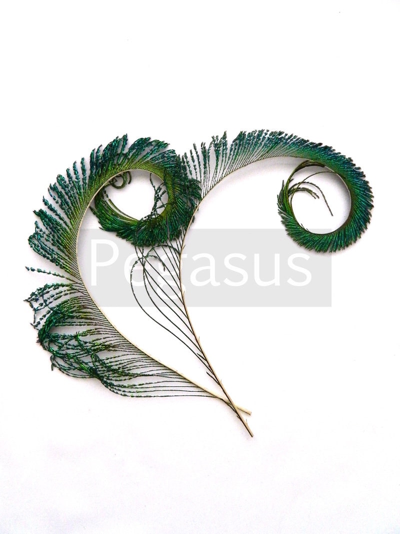 Natural Green Curled Peacock Sword Tail Feathers (12 color option,3 p…