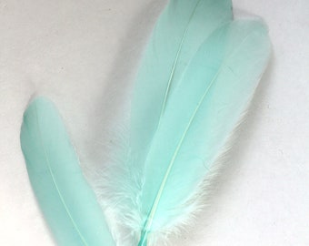 Mint Green goose feathers (2 package size) wedding bouquets,fascinators,hat,shoe clips,feather earring,woodland cosplay,feather wand