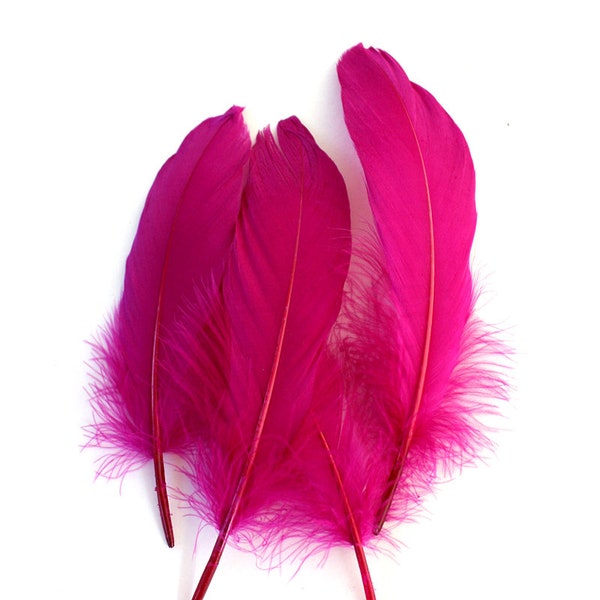 Fuchsia Plumes d’oie roses (3 taille de paquet) bouquets de mariage, fascinateurs, chapeau, pinces à chaussures, boucle d’oreille en plumes, cosplay boisé, baguette de plumes