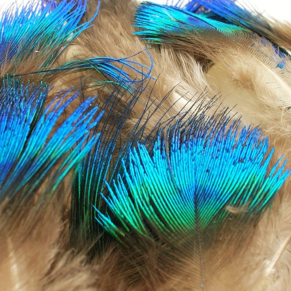 Small Blue and Green Peacock Scallop Plume Feathers for craft, headbands, hats and hair clips (3 package options)