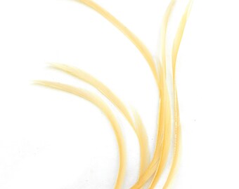 Ivory goose biot feather (5-7 inches)(3 package sizes) craft material for hats, headdresses, hair clips and headbands