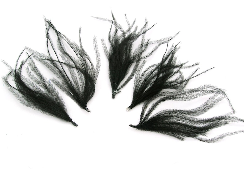 BLACK Ostrich Feather Spray 3 Package Size Cruelty Free DIY Etsy