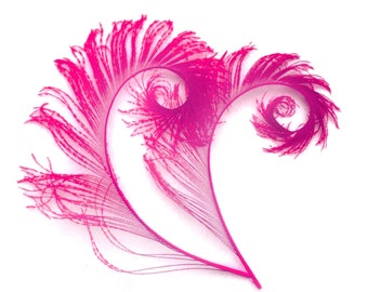 Candy Pink (magenta) Curled Peacock Sword Tail Feathers (3 package options) for wedding bouquets, floral centerpieces,hat,millinery