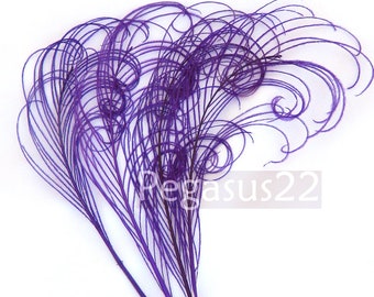 Royal Purple Peacock curled feather sprigs (6-8 Inches)(3 packages)  plumes for hats,fascinators,costume headdress,brooch bouquet