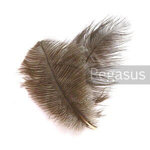 Natural Brown Ostrich Feather Drab (6-8 inches, 3 package option) feather for hat,fascinator,hat,corset,dresses,bouquets, costume,fans