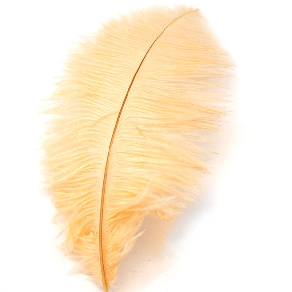 PEACH orange Ostrich Feather Drab (6-8 inches, 3 package option) feather for hat,fascinator,hat,corset,dresses,bouquets, costume,fans