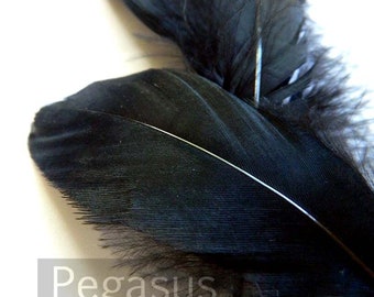 Black goose feathers (2 package size) wedding bouquets,fascinators,hat,shoe clips,feather earring,woodland cosplay,feather wand