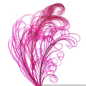 CANDY PINK Peacock curled feather sprigs (6-8 Inches)(3 packages)  plumes for hats,fascinators,costume headdress,brooch bouquet