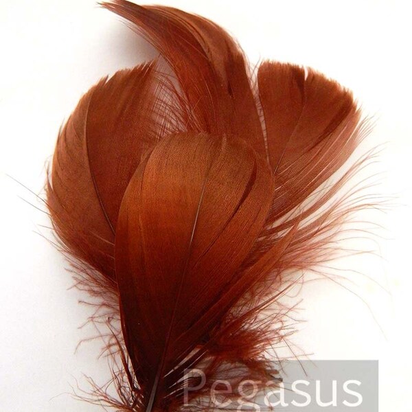 Cherrywood Brown goose feathers (36 pcs) wedding bouquets,fascinators hat,shoe clips,feather earring,woodland cosplay,feather wand