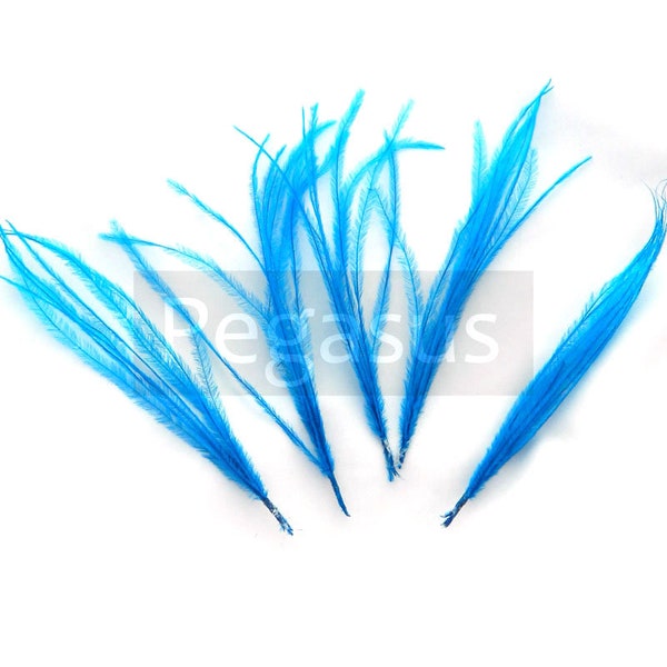 Azure Blau Strauß feder spray (3 Paketgröße) Grausamkeit frei Federn für Haar Fascinatoren, Boutonnieres, Millinery, Schuhclip, Bouquet
