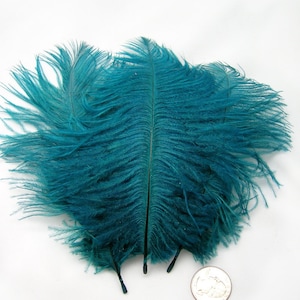 TEAL BLUE Ostrich Feather Drab (6-8 inches, 3 package option) feather for hat,fascinator,hat,corset,dresses,bouquets, costume,fans