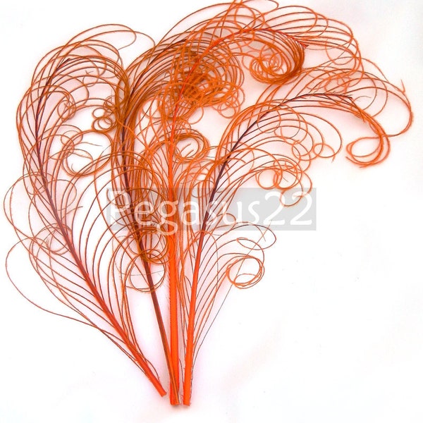 ORANGE peacock feather sprigs (6-8 Inches)(3 packages)  plumes for hats,fascinators,costume headdress,brooch bouquet