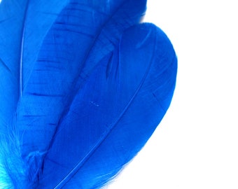 Sapphire Blue goose feathers (2 package size) wedding bouquets,fascinators,hat,shoe clips,feather earring,woodland cosplay,feather wand