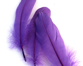 Royal Purple goose feathers (2 package size) wedding bouquets,fascinators,hat,shoe clips,feather earring,woodland cosplay,feather wand