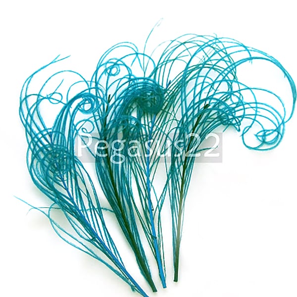 TEAL Blue Peacock curled feather sprigs (6 -8 Inches)(3 packages)  plumes for hats,fascinators,costume headdress,brooch bouquet