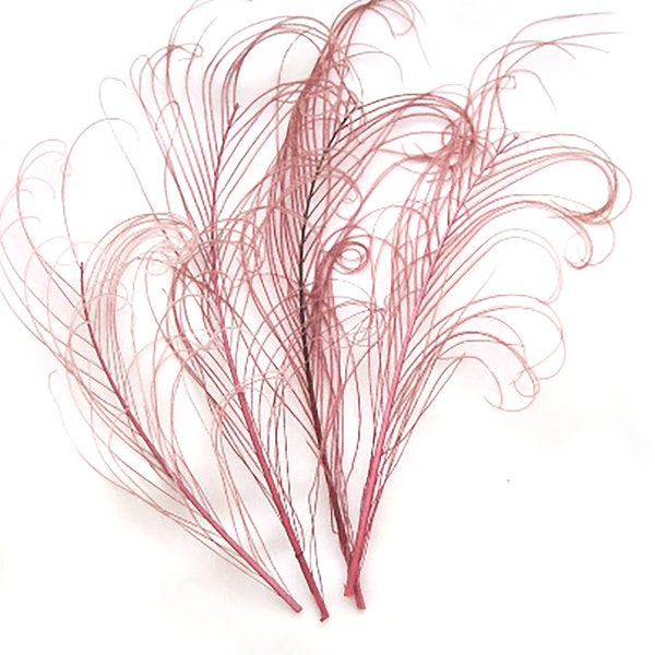 DUSTY ROSE Pink Peacock curled feather sprigs (6-8 Inches)(3 packages)  plumes for hats,fascinators,costume headdress,brooch bouquet