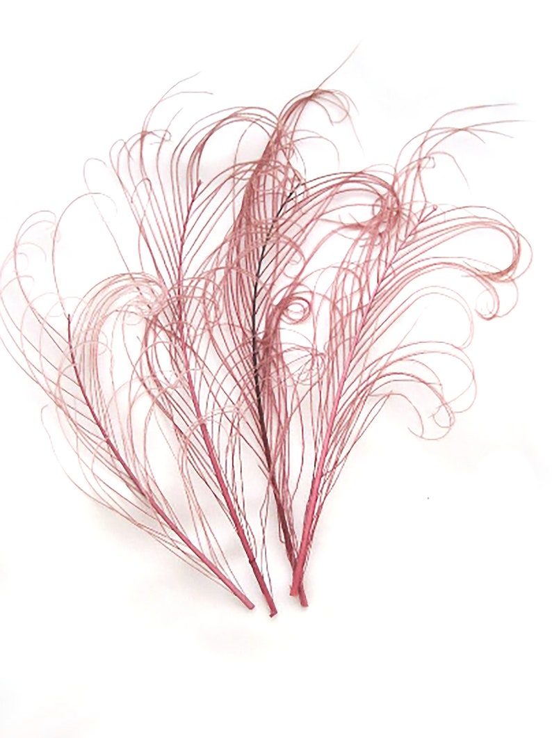 DUSTY ROSE Pink Peacock curled feather sprigs 6-8 Inches3 packages plumes for hats,fascinators,costume headdress,brooch bouquet image 1