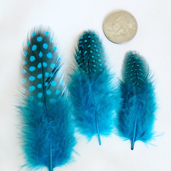 Teal Blue Spotted loose Guinea Hen Feathers (3 package size) DIY bespoke millinery supply for headdress,mask,hair clip,earring,fascinator