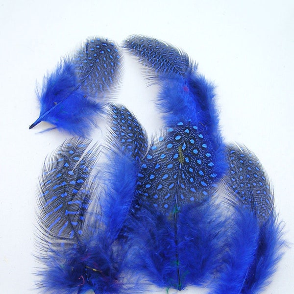 Royal Blue Spotted loose Guinea Hen Feathers (3 package size) DIY bespoke millinery supply for headdress,mask,hair clip,earring,fascinator