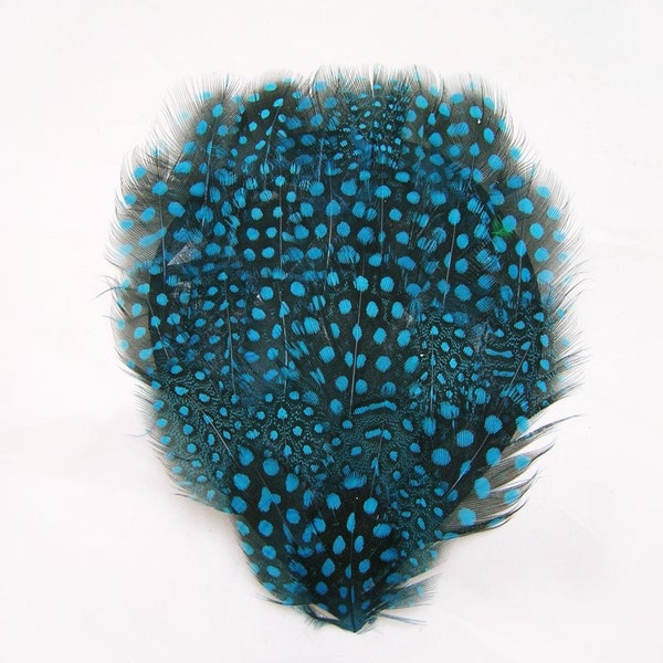 Blue Spotted guinea hen Feather Pad  (3 packages) DIY millinery,mask,fascinator,hat,cap,costume burlesque fan,feather headdress,applique