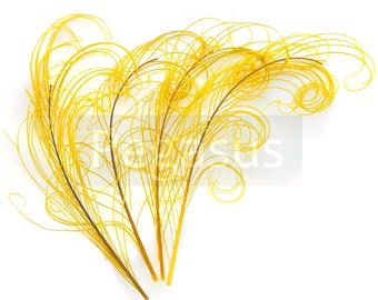 GOLDEN YELLOW peacock feather sprigs (6-8 Inches)(3 packages)  plumes for hats,fascinators,costume headdress,brooch bouquet