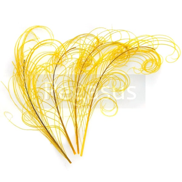 GOLDEN YELLOW peacock feather sprigs (6-8 Inches)(3 packages)  plumes for hats,fascinators,costume headdress,brooch bouquet
