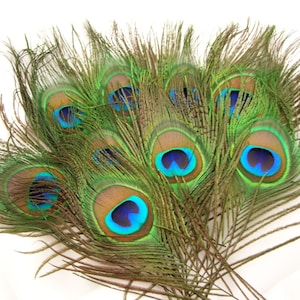 NATURAL Peacock Feather Eyes (2 size option)(RF) feather for boutonniere,earring,wedding bouquet,millinery hat,corsage,fascinator