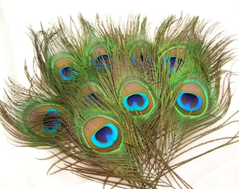 NATURAL Peacock Feather Eyes (2 size option)(RF) feather for boutonniere,earring,wedding bouquet,millinery hat,corsage,fascinator