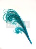 TEAL Blue peacock feather plume (6-8')P2(3 package option) hats, fascinators, headdresses, headbands and floral arrangements,mardi gras 