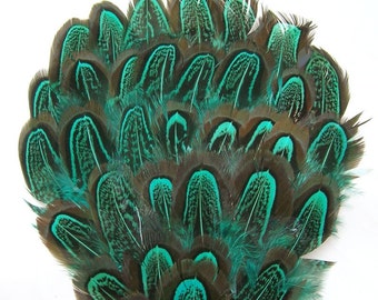 GREEN Almond Amherst Feather Pad Applique (3 package option) DIY millinery, masks,costumes,hats,headdresses,headband,hairclips