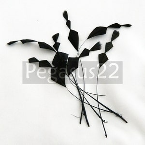 May include: Black decorative feathers with geometric shapes and thin stems. The feathers are arranged on a white background. The text "Pegasus22" is visible in the image.