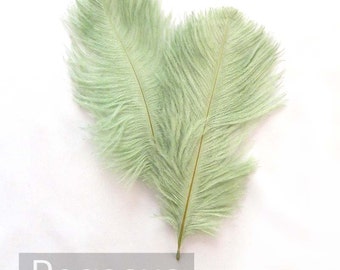 MINT GREEN Ostrich Feather Drab (6-8 inches, 3 package option) feather for hat,fascinator,hat,corset,dresses,bouquets, costume,fans