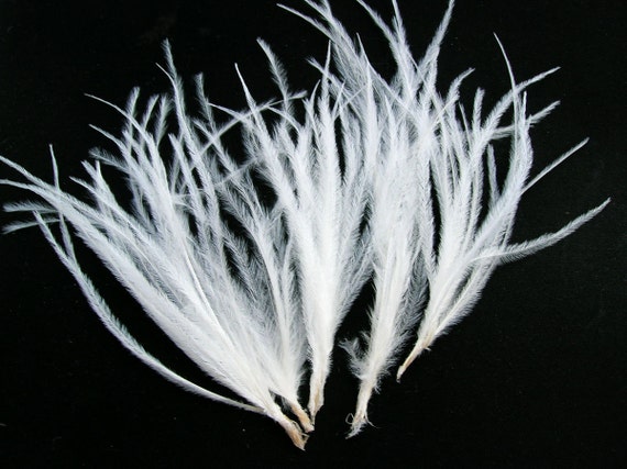 ostrich feather sprays