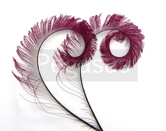 Wine Grape Purple Curled Peacock Sword Tail Feathers (3 package options) for wedding bouquets, floral centerpieces,hat,millinery