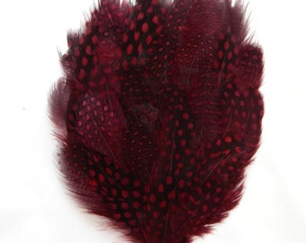 Red Spotted guinea hen Feather Pad  (3 packages) DIY millinery,mask,fascinator,hat,cap,costume burlesque fan,feather headdress,applique