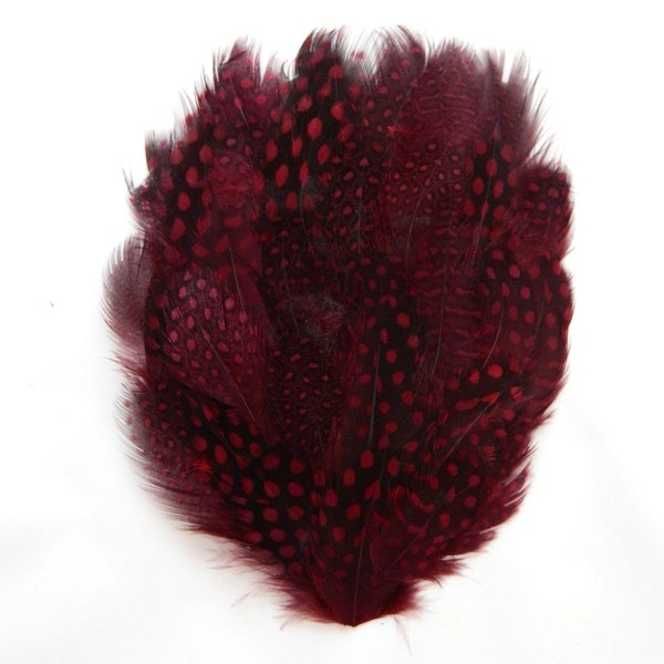 Red Spotted guinea hen Feather Pad  (3 packages) DIY millinery,mask,fascinator,hat,cap,costume burlesque fan,feather headdress,applique