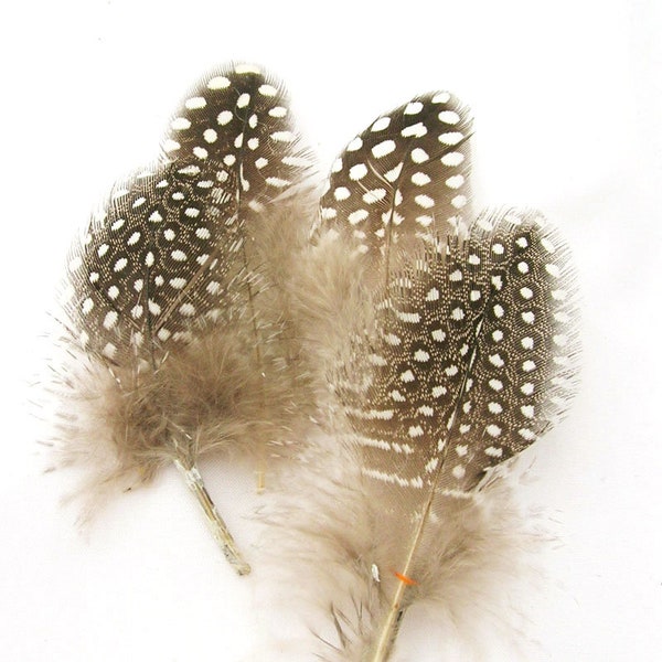 Natural Black spotted Guinea Hen Feathers (2 package size) bespoke millinery supply for headdress,mask,hair clip,earring,fascinator