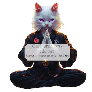 Schattige vechtsport kat clipart | Karate kat digitale download | Grappige ninjakatillustratie voor kinderen en ambachten | Uitnodiging voor feest | png